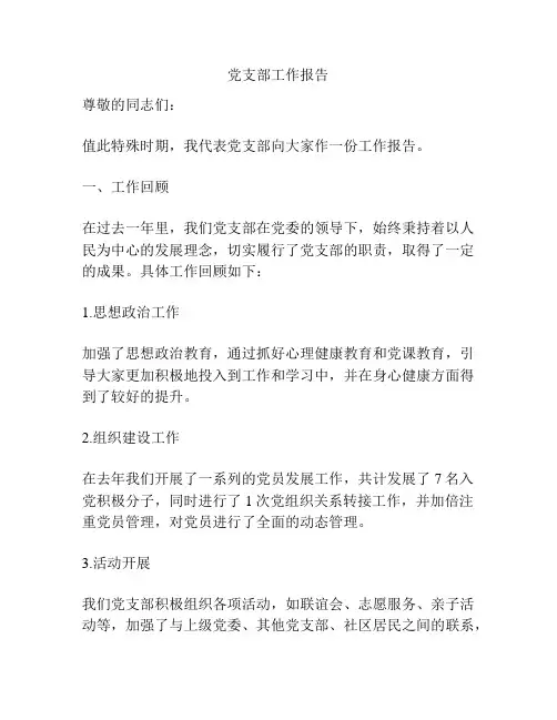 党支部工作报告