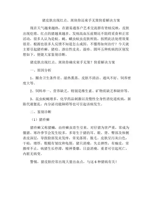 猪皮肤出现红点、斑块你还束手无策快看解决方案