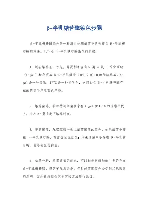 β-半乳糖苷酶染色步骤