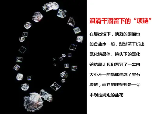 苏教版高二化学选修三课件：专题3第二单元离子晶体 (共24张PPT)