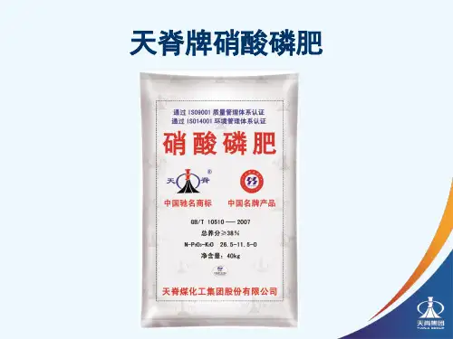 天脊集团概况及化肥特点