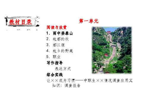 雨中登泰山