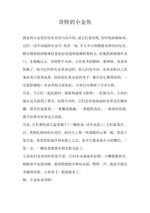 五年级状物奇特的小金鱼
