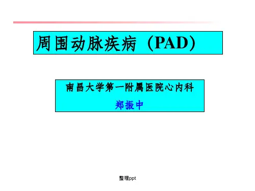 周围动脉疾病PAD