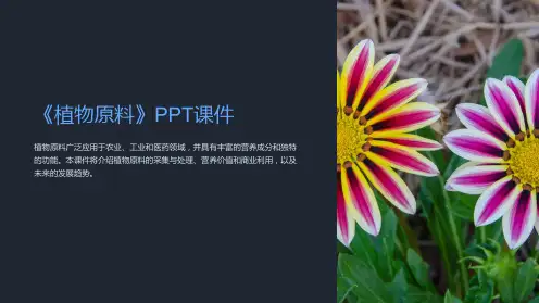 《植物原料》课件