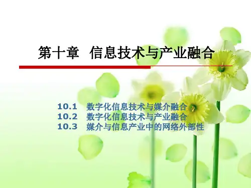 传媒经济学教程 第十章 信息技术与产业融合