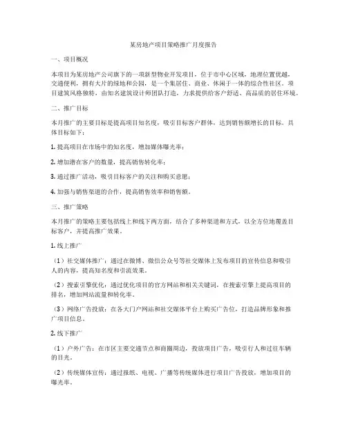 某房地产项目策略推广月度报告