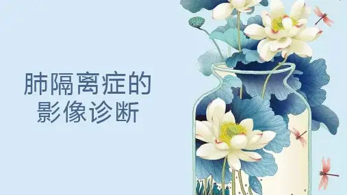 肺隔离症的影像诊断