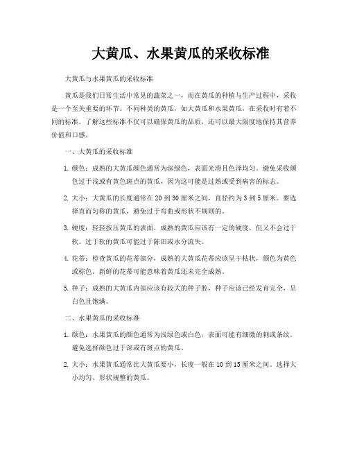 大黄瓜、水果黄瓜的采收标准