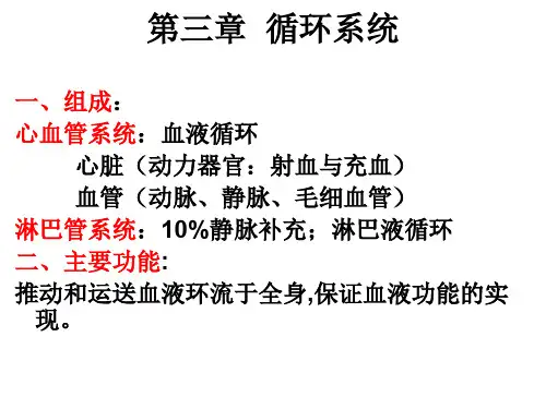 第三章循环系统ppt课件
