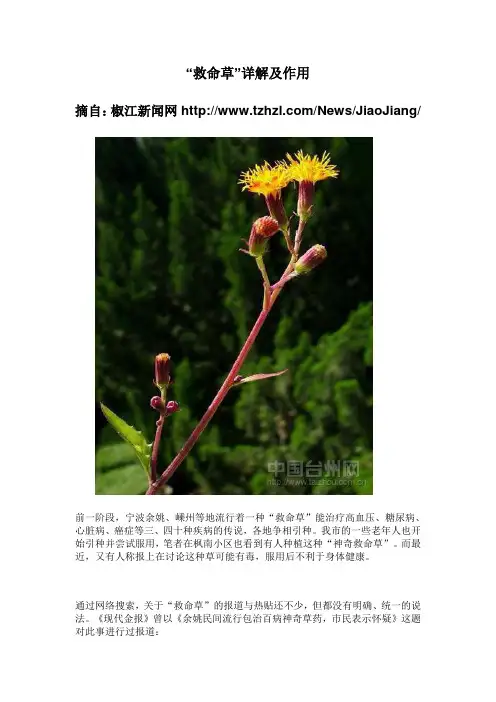 “救命草”详解及作用