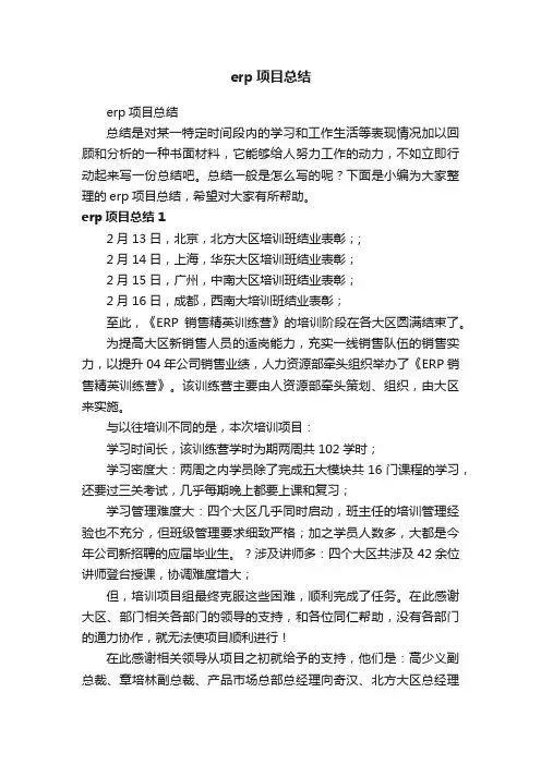 erp项目总结