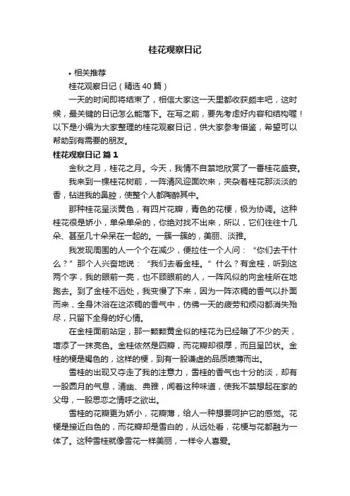 桂花观察日记