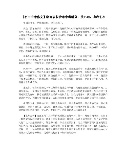 【初中中考作文】湖南省长沙市中考满分：放心吧,有我们在