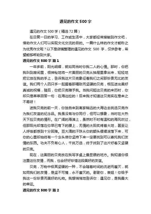 遇见的作文500字