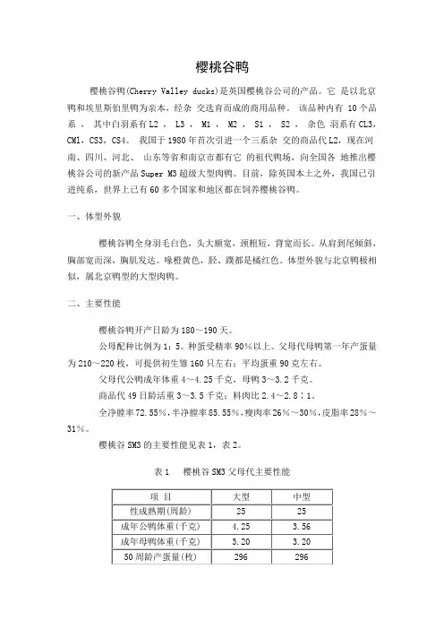 樱桃谷鸭