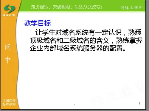 DNS域名系统PPT课件