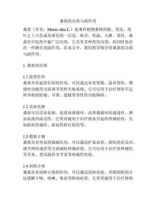 桑黄的功效与副作用