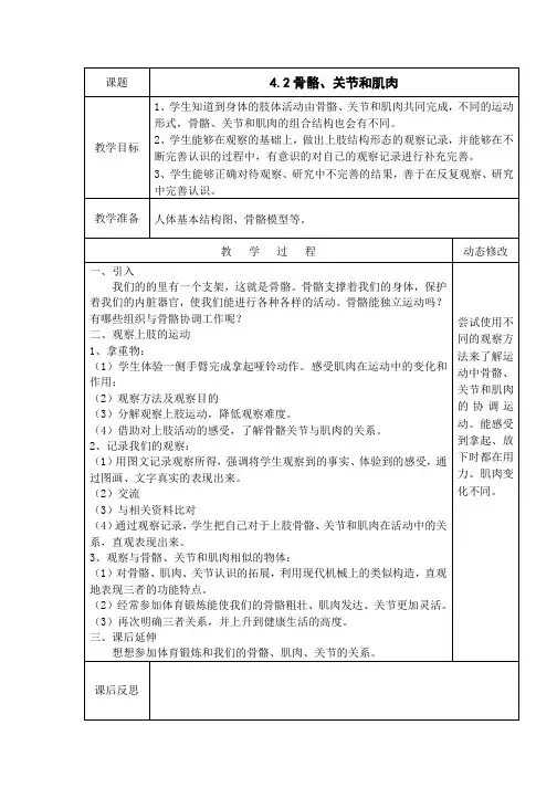 教科版小学科学四年级上册4.2骨骼、关节和肌肉 教案
