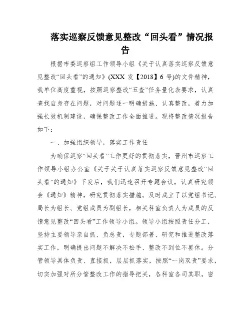 落实巡察反馈意见整改“回头看”情况报告