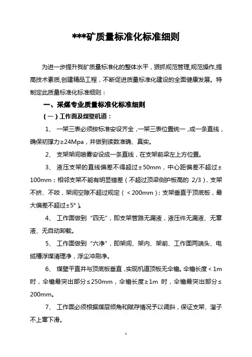 xx煤矿质量标准化实施细则