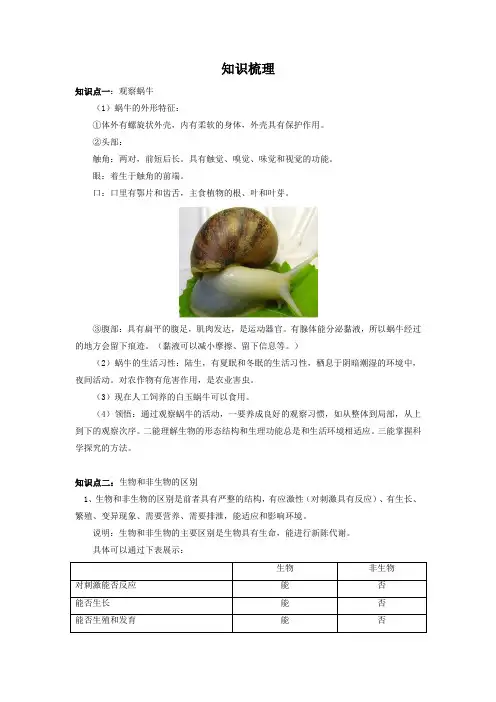第二单元知识梳理 浙教版七年级上册科学  