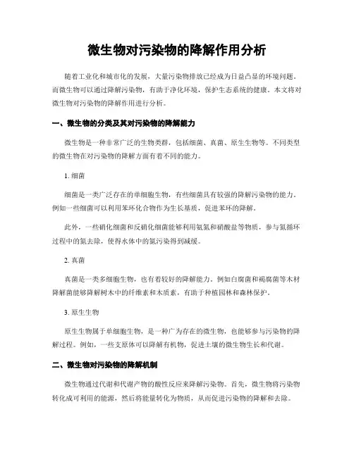 微生物对污染物的降解作用分析