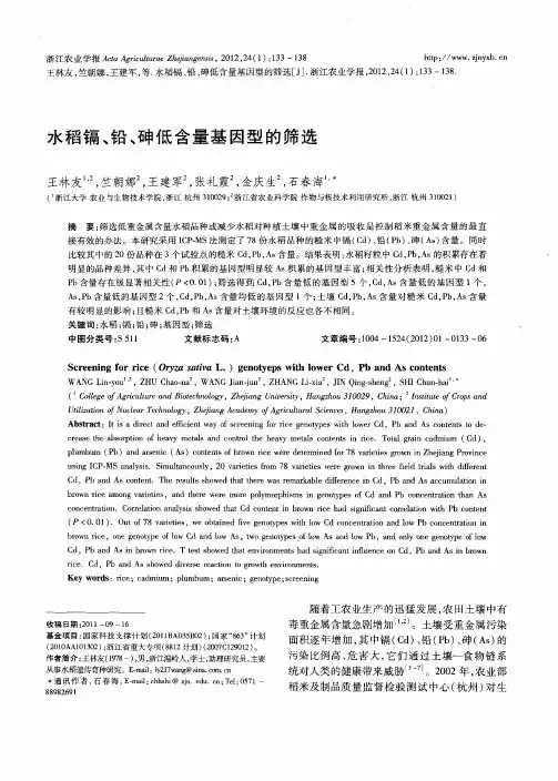 水稻镉、铅、砷低含量基因型的筛选