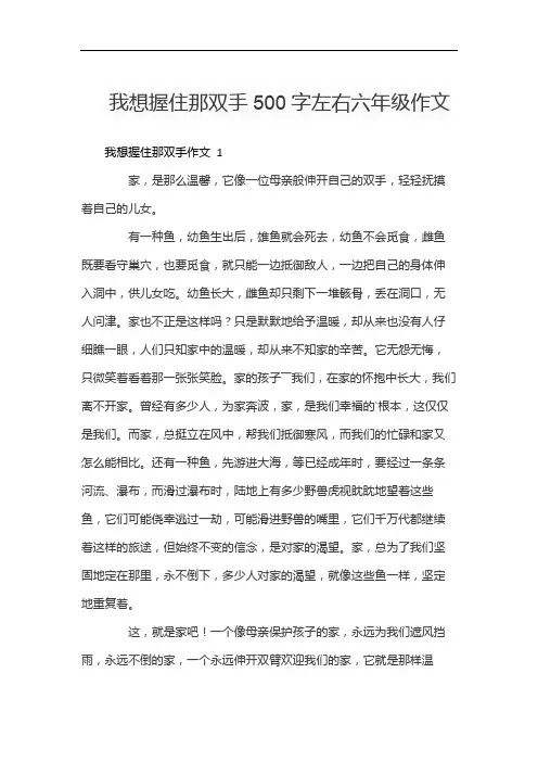 我想握住那双手500字左右六年级作文