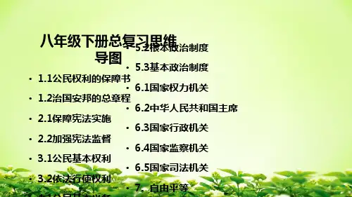 八下道德与法治思维导图