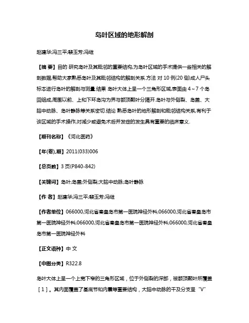 岛叶区域的地形解剖