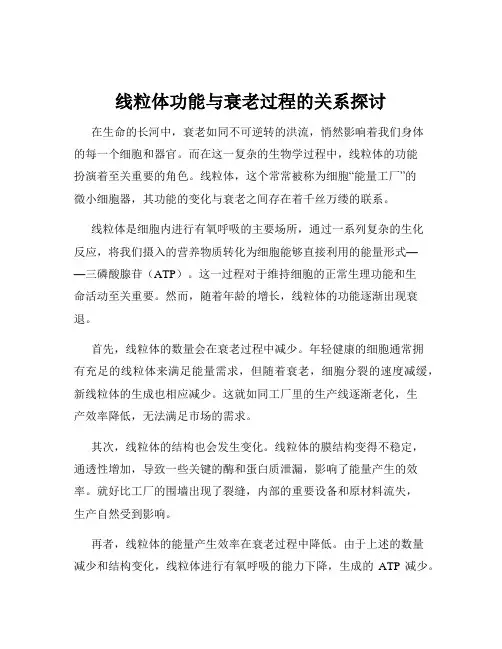 线粒体功能与衰老过程的关系探讨