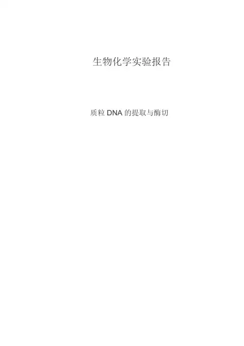 质粒DNA的提取与酶切