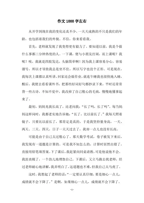 作文1000字左右