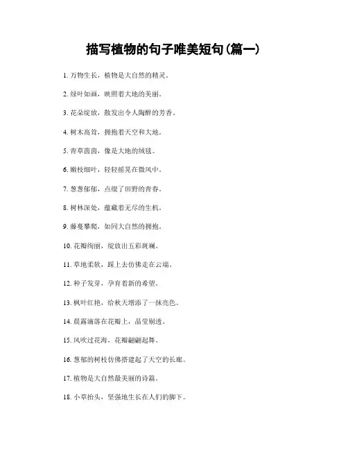 描写植物的句子唯美短句(精选两篇)