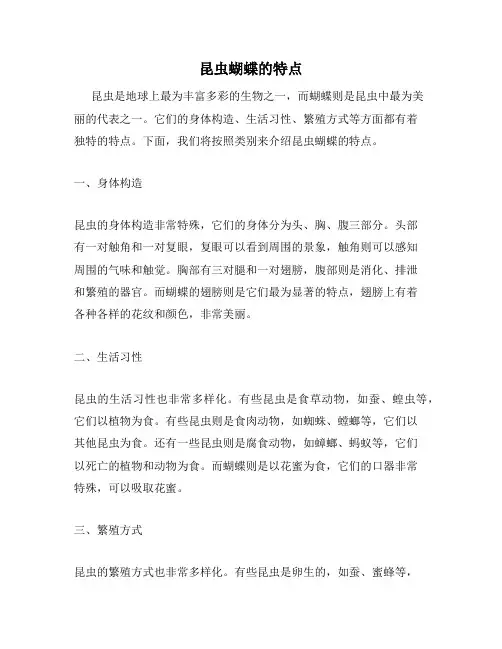 昆虫蝴蝶的特点