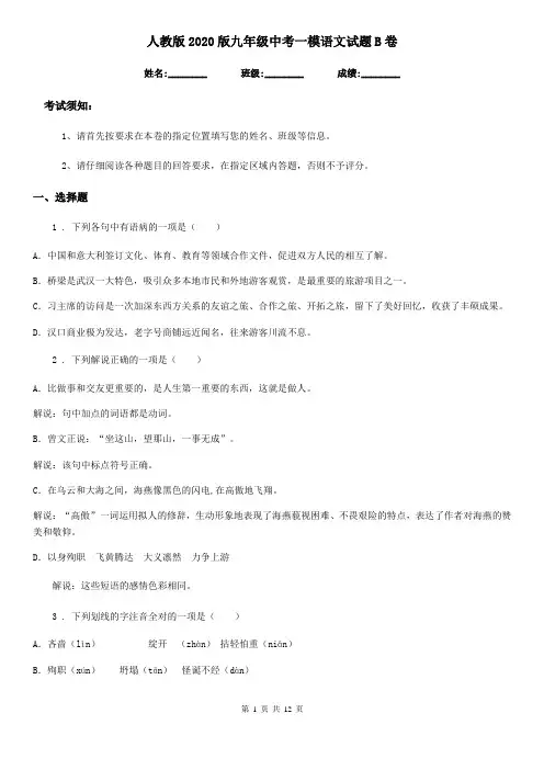 人教版2020版九年级中考一模语文试题B卷