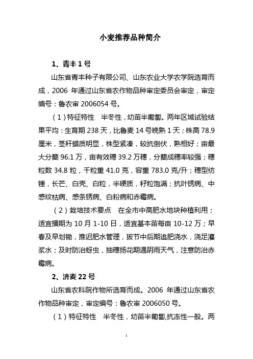 小麦推荐品种简介
