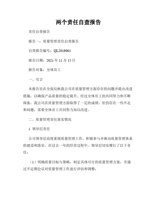 两个责任自查报告