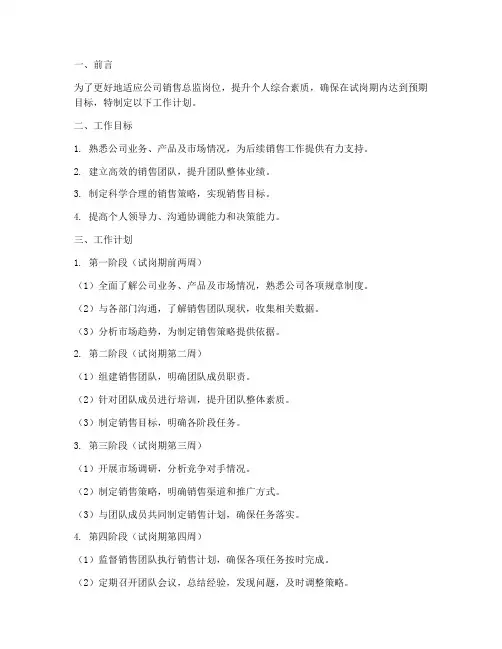 销售总监试岗期工作计划