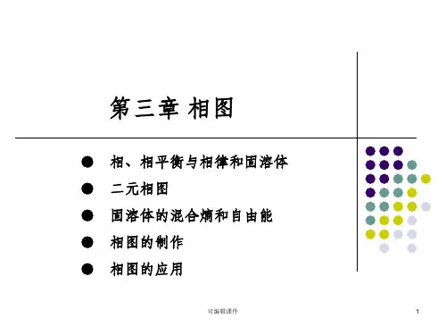 固体物理第三章 相图PPT课件