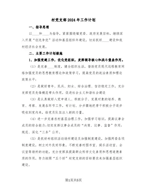 村党支部2024年工作计划（2篇）