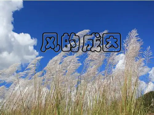 《风的成因》PPT精品课件教科版小学1