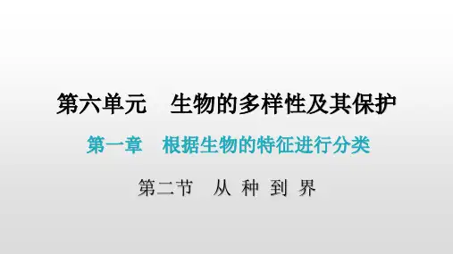 人教版生物八年级上册 第六单元 第一章 第二节  从 种 到 界 课件 