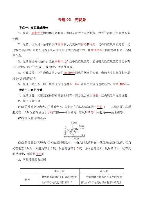 备考中考物理知识点复习专练知识点精讲专题 光现象含解析