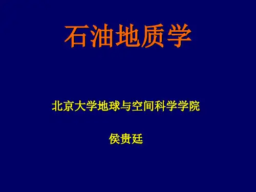 北京大学地质学(石油地质学)课件