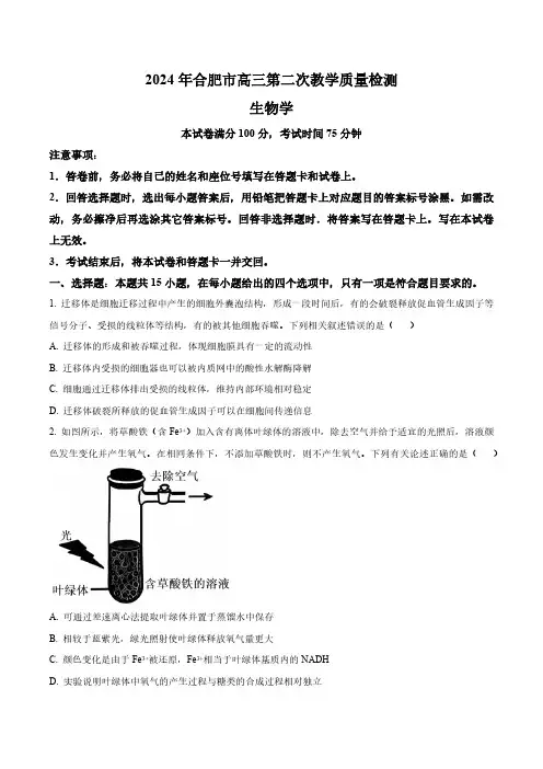 安徽省合肥市2024届高三下学期第二次质量检测生物试题(含答案与解析)_4775
