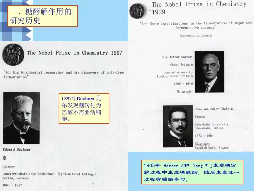 王镜岩 生物化学 经典课件 糖代谢1(共97张PPT)