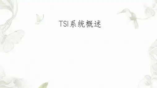 TSI系统概述课件