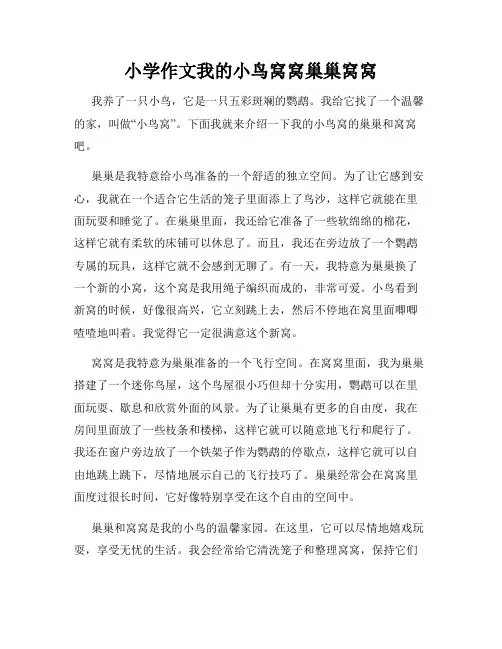 小学作文我的小鸟窝窝巢巢窝窝